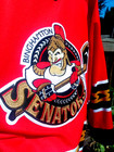 Ahl Binghamton Senators Hockey Jersey
