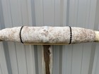 Mounted Steer Horns  6 Feet Wide Longhorn Polished Mount Bull Cow