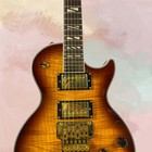 Brown Electric Guitar With Gold Hardware Hh Pickups And Rosewood Fingerboard