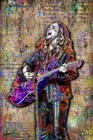 Melissa Etheridge 24x36in Poster Melissa Etheridge Tribute Print Free Shipping