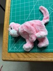Ty Beanie Buddies Carnation Pink Cat Kitten 2004 Plush Stuffed Animal          C