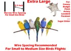 X-large Bird Parrot Cage Cockatiel Conure 32 lx19 wx64 h Wrought Iron Flight 503