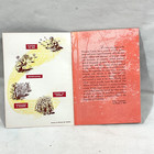 Columbia Land Of Coffee  18 Pgs Booklet  1932  Reprinted 1949  All About Coffee 