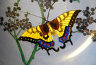 Vtg Chinese french Porcelain Bowl In Brass Case Hand Painted Butterflies Blue 9 