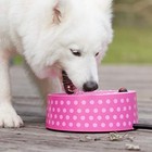 Heated Pet Bowl  Outdoor Pet Thermal Water Bowl  Dog Cat Heated Water Polkadots