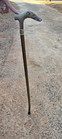 Antique Style Greyhound Dog Walking Stick Cane 35  Wood Bakelite
