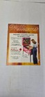 Phoenix Williams Pinball Flyer  has 3 Holes On Side  Good