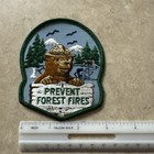 Smokey Bear Forest Service Prevent Forest Fires Sew On Patch