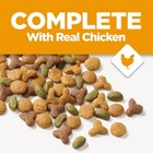 Purina Cat Chow Complete Chicken Flavor Dry Cat Food 20 Lbs