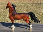 Breyer Blue Note Qvc Glossy Bay American Saddlebred Stallion Special Run