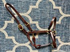 New   Full horse Sized Brown Walsh Leather Showman Halter