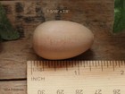 100 Unfinished Solid Wood Robin Eggs     Ready To Paint     1-5 16  X 7 8 