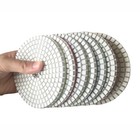 54pcs 4 Inch Diamond Polishing Pad Granite Stone Marble Concrete Floor Polish