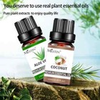100  Pure Essential Oils Therapeutic Natural Aromatherapy Oils Free Shipping