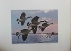 1985 Thru 2002 Nys Duck Stamps And Prints  All Numbered 291 Out Of The   Issued 