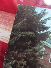A Vintage 1960s Postcard Kentucky Scool Of Law Building University Of Louisville