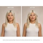 Moroccanoil Authentic Moisture Repair Shampoo  3 Sizes Are Available