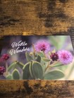 Australia Post Wattle Wonders Stamp Pack   Minisheet   Strip   