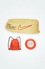 Nike Picnic Set Orange Frisbee Air Sofa Sticker Limited Japan New