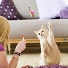 21pcs Cat Toy Set Interactive Kitten Balls Mice Bells Indoor Play Toys Bulk Pack