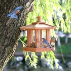 Red Cedar Hexagon Bird Feeder Large - Hanging Weatherproof For Garden Yard