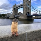 Jellycat Charlie Exclusive Selfridges Fish chips Toy-christmas Gift Nwt dust Bag