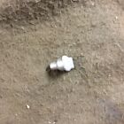3 16 Inch Strait  Unthreaded  Oil Cup