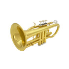 Bb Cornet Brass Instrument Gold Lacquer Finish With Carrying Case  Gloves