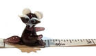 Ganz World Miniature Mini Glass Raccoon Collectible Figurine 1  