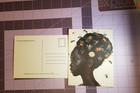  hive Mind      Bee And Bloom Postcard   Botanical Art Print