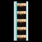 Amazing Spider-man - Spidey On Nyc Rooftop - 35mm 5 Cell Film Strip 142
