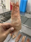 Australia Dried Fish Maw bladders                       150g