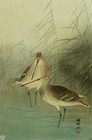 Vintage Japanese Woodblock Print    snipe And Reeds    By Ohara Sh  son  koson 