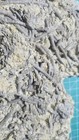 Large Ailsacrinus Crinoid Fossil Death Plate