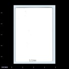 Old Vintage Photo Woman In Backyard By House