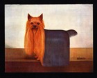 1930s Antique Yorkshire Terrier Art Print Champion Harringay Remarkable 6874f