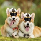 Funny Pet Hat Headpiece Fancy Headgear Costume Photo Props For Dog cat