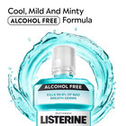 Alcohol-free Mouthwash  Non Alcoholic Mint Oral Rinse Kills 99 9  Of Germs That 