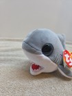 Ty Beanie Boos Finnegan Gray Shark 6  Glitter Eyes Plush Toy