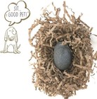 Pet Rock - The Original By Gary Dahl