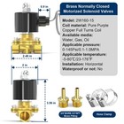 Tailonz Pneumatic 1 2 Inch Npt Dc12v Brass Electric Dc12v  Yellow And Black 