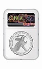2026-w 1 Oz  999 American Silver Eagle Coin Ngc Ms 70 Brown Label Slabbed Rare