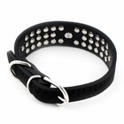 Pet Dog Cat Faux Diamond Decor Necklace Adjustable Belt Buckle Collar Black Xs