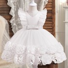 Party Girl Tutu Birthday Princess Dress Puffy Gown Baptism Fly Sleeves Flower1