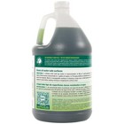 Green 1 Gallon All-purpose Cleaner Concentrate Cleaner  Clean Dirt And Grease