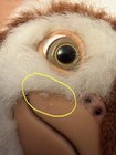 Gremlins Gizmo Plush 6 Inch Neca- Read Description