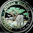 2012 Somalian Elephant Colorized African Wildlife 1 Oz Silver Coin In Capsule