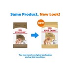 Royal Canin Breed Health Nutrition Pomeranian Adult Dry Dog Food  10-lb Bag