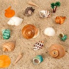 Hermit Crab Shell Growth Seashells 12 Pcs Shells Hut For Fish Tank Decor Us