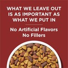 Purina Dog Chow Complete Adult Dry Dog Food Beef Flavor Kibble 44 Lb Bag